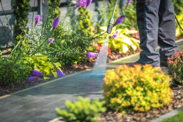 Best Driveway Pressure Washing  in Milltown, NJ